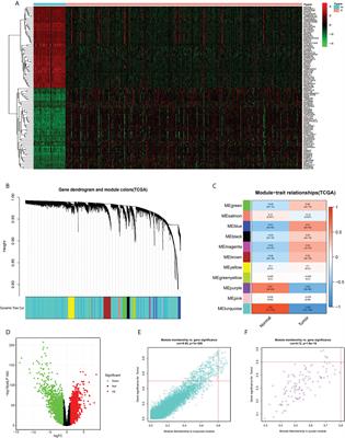 A metabolic reprogramming-related prognostic risk model for clear cell renal cell carcinoma: From construction to preliminary application